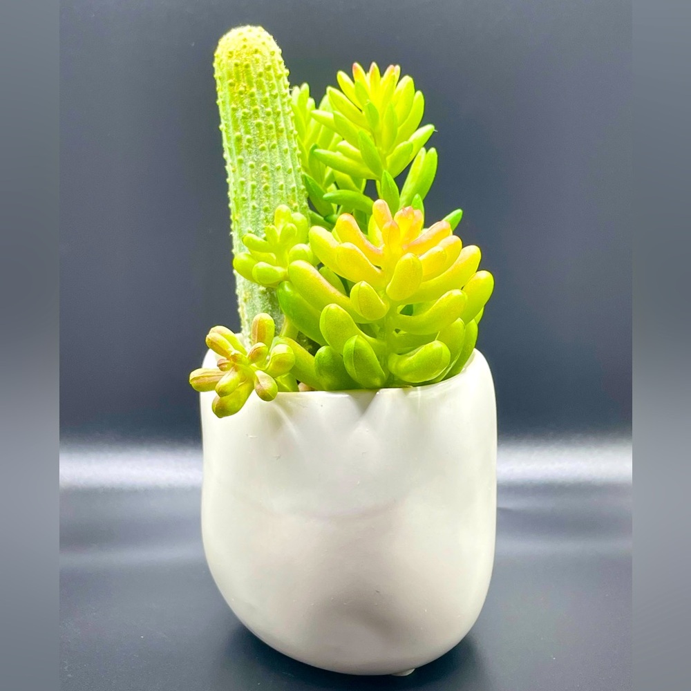 Artificial Succulent Potted Plant | 1 Piece